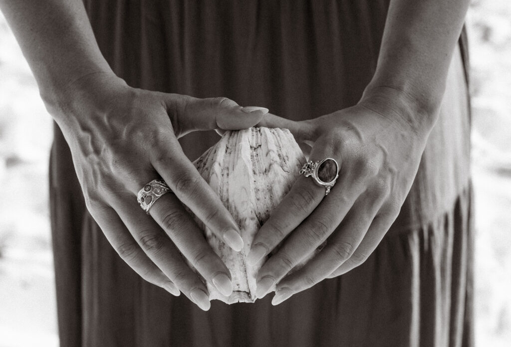 Ash Street Collective: Stories Shaped by the Sea